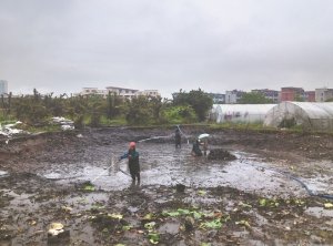 贵港河道鱼塘清淤